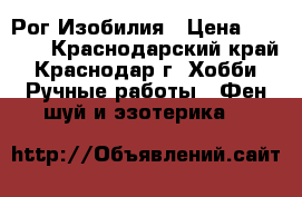 Рог Изобилия › Цена ­ 3 500 - Краснодарский край, Краснодар г. Хобби. Ручные работы » Фен-шуй и эзотерика   